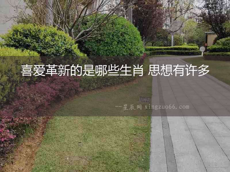 喜愛革新的是哪些生肖 思想有許多