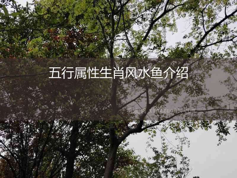 五行屬性生肖風水魚介紹