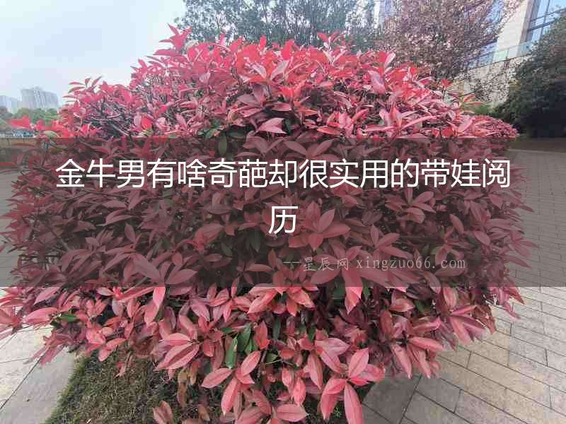 金牛男有啥奇葩卻很實用的帶娃閱歷