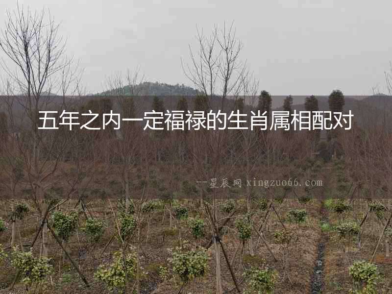 五年之內一定福祿的生肖屬相配對