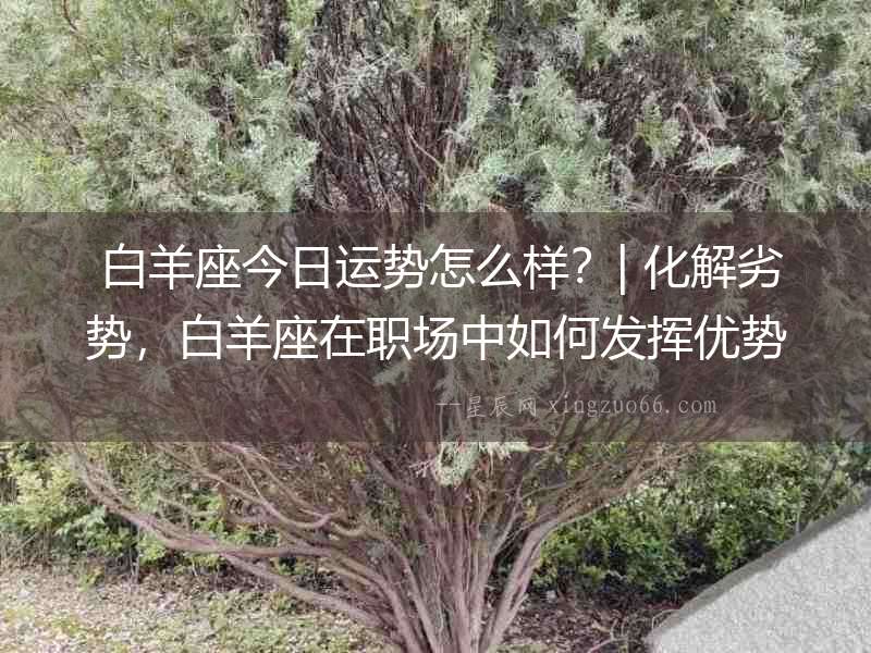  白羊座今日運勢怎么樣？| 化解劣勢，白羊座在職場中如何發揮優勢？