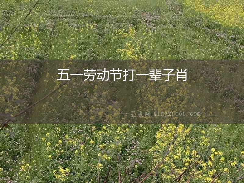 五一勞動節打一輩子肖
