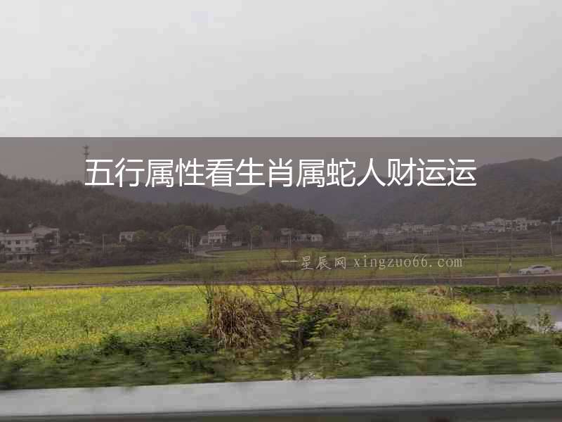 五行屬性看生肖屬蛇人財運運