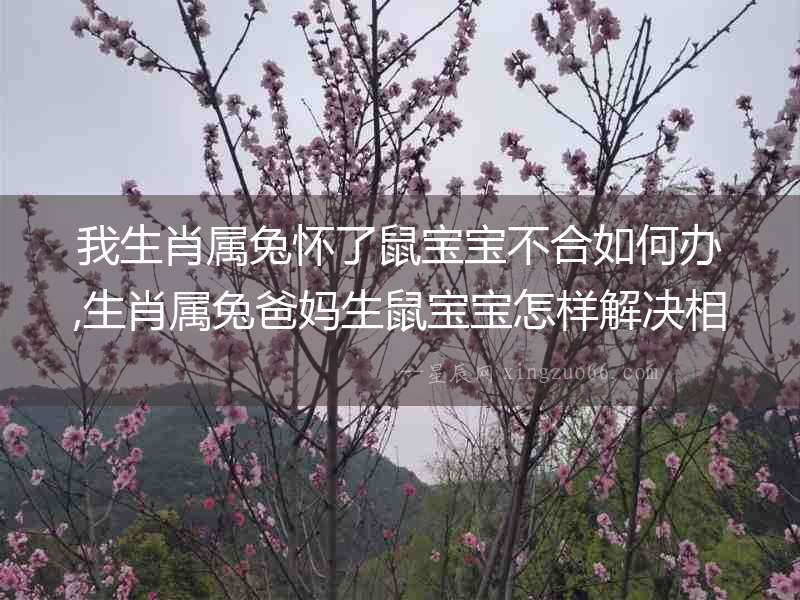 我生肖屬兔懷了鼠寶寶不合如何辦,生肖屬兔爸媽生鼠寶寶怎樣解決相刑