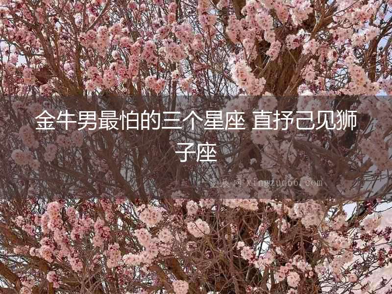 金牛男最怕的三個星座 直抒己見獅子座