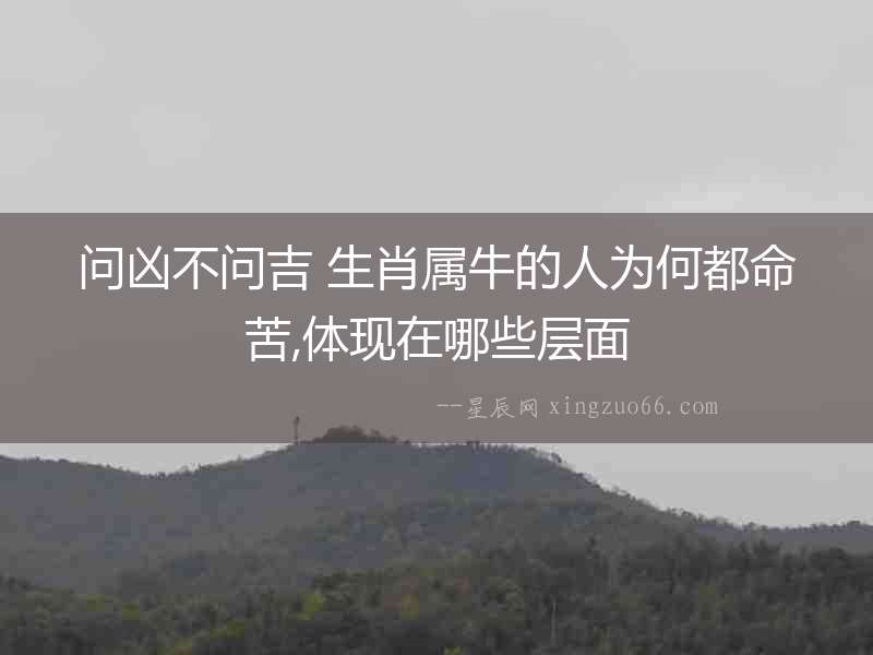 問兇不問吉 生肖屬牛的人為何都命苦,體現(xiàn)在哪些層面