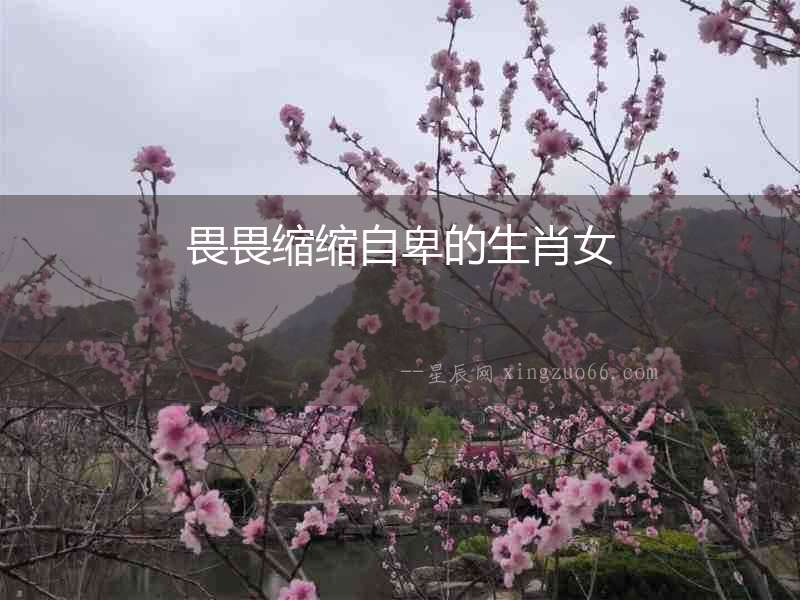 畏畏縮縮自卑的生肖女