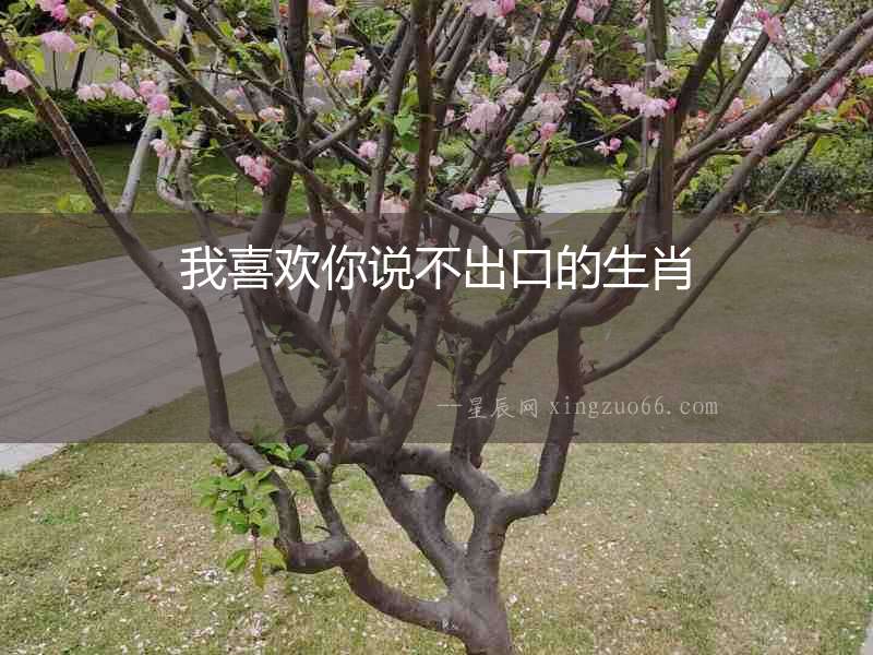 我喜歡你說不出口的生肖