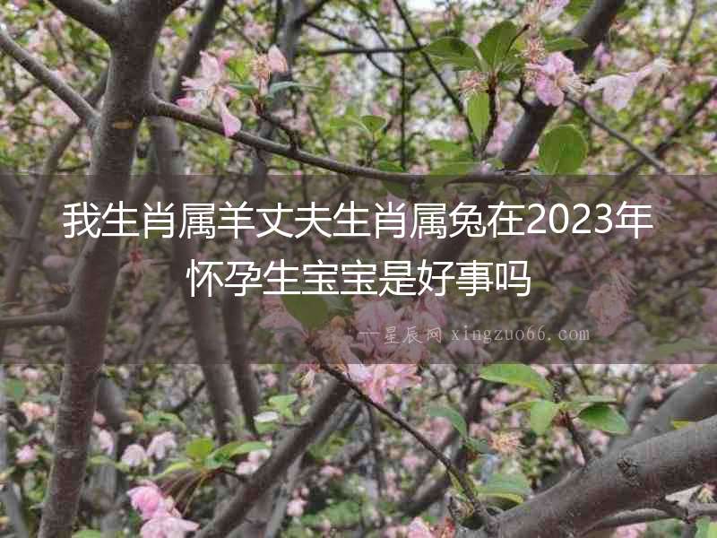 我生肖屬羊丈夫生肖屬兔在2023年懷孕生寶寶是好事嗎