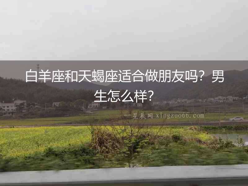 白羊座和天蝎座適合做朋友嗎？男生怎么樣？