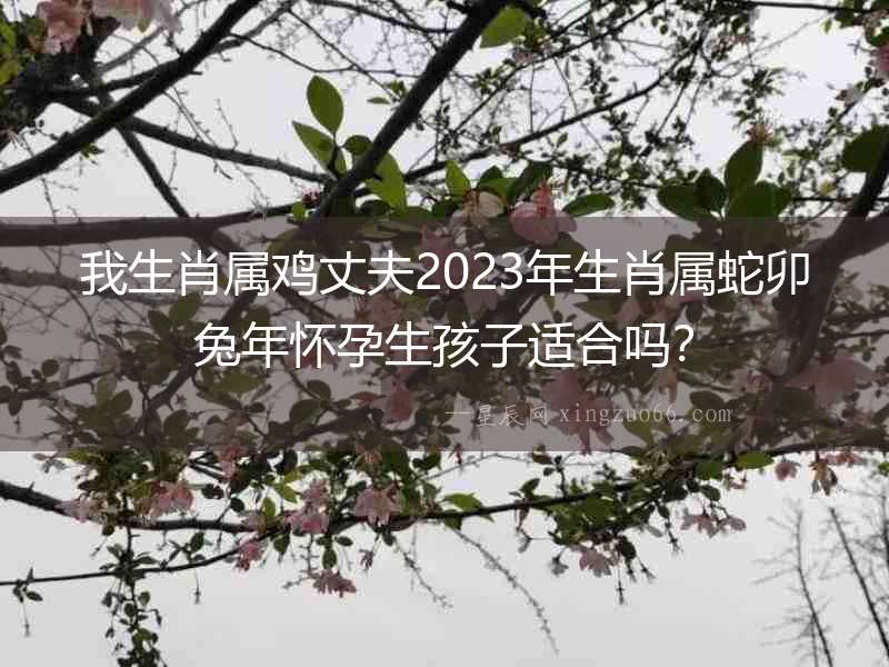 我生肖屬雞丈夫2023年生肖屬蛇卯兔年懷孕生孩子適合嗎？