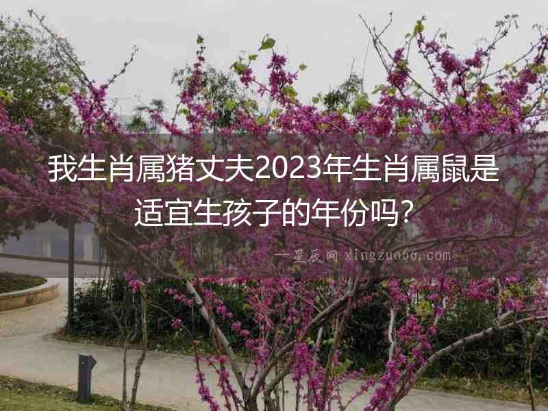 我生肖屬豬丈夫2023年生肖屬鼠是適宜生孩子的年份嗎？