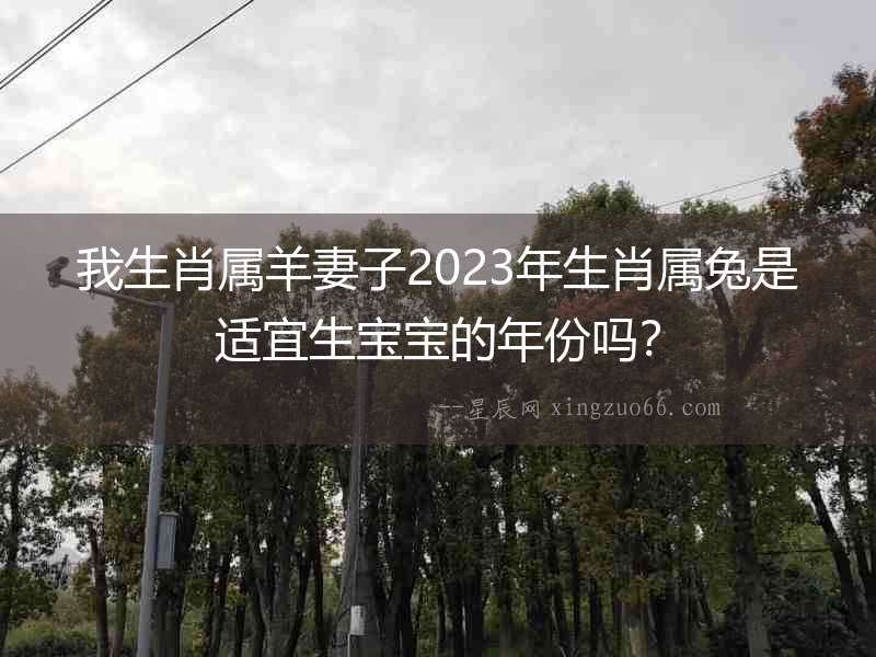 我生肖屬羊妻子2023年生肖屬兔是適宜生寶寶的年份嗎？
