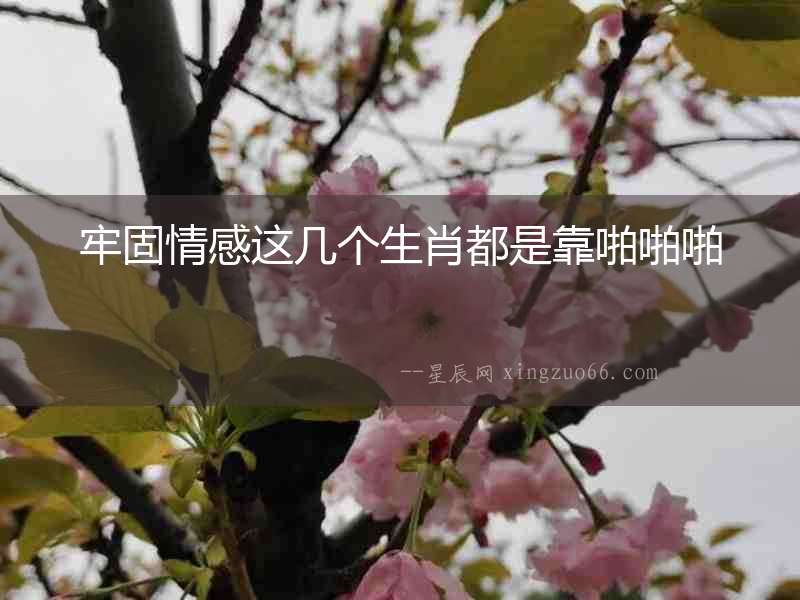牢固情感這幾個生肖都是靠啪啪啪