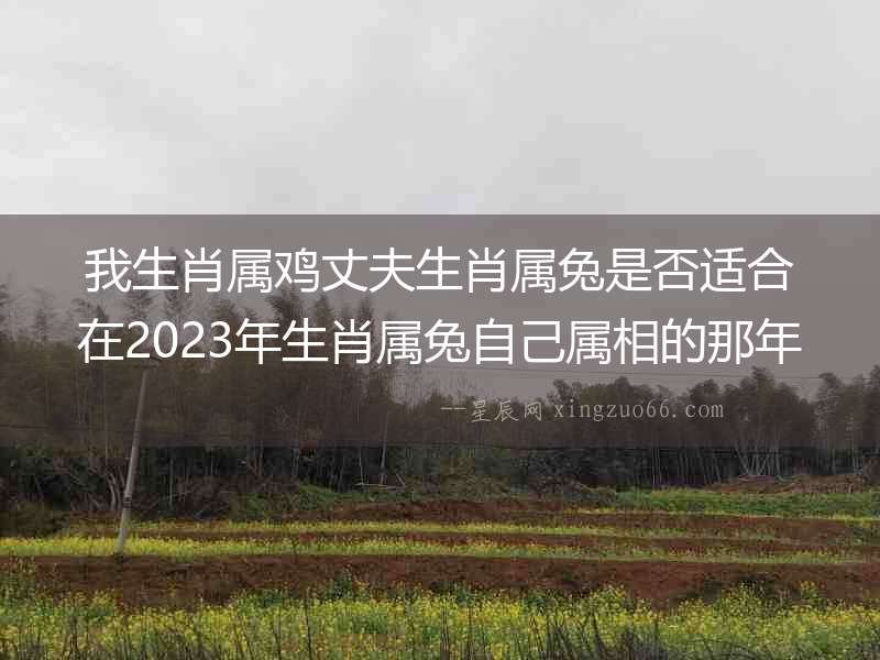 我生肖屬雞丈夫生肖屬兔是否適合在2023年生肖屬兔自己屬相的那年本命年要孩子？