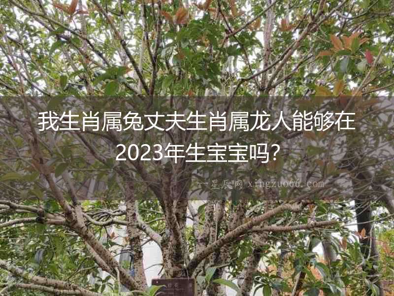 我生肖屬兔丈夫生肖屬龍人能夠在2023年生寶寶嗎？