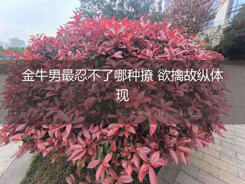 金牛男最忍不了哪種撩 欲擒故縱體現