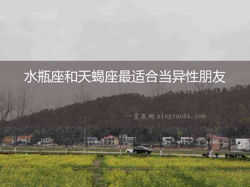 水瓶座和天蝎座最適合當異性朋友