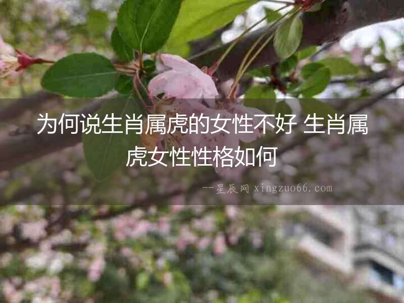 為何說生肖屬虎的女性不好 生肖屬虎女性性格如何