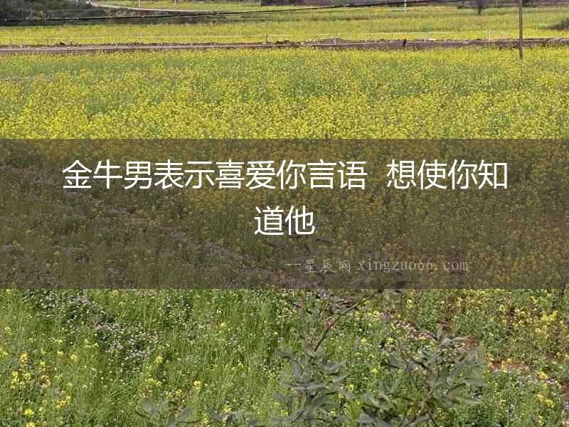 金牛男表示喜愛你言語  想使你知道他