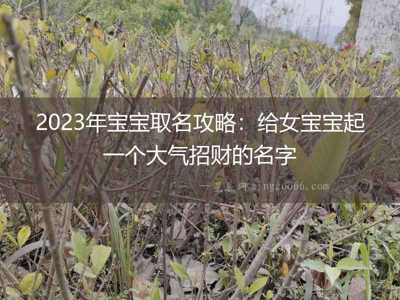 2023年寶寶取名攻略：給女寶寶起一個大氣招財的名字