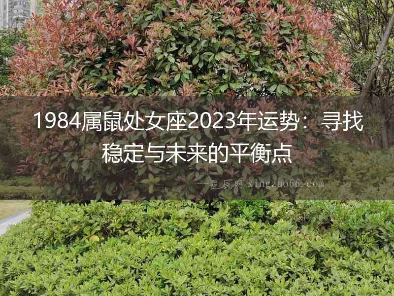 1984屬鼠處女座2023年運勢：尋找穩定與未來的平衡點