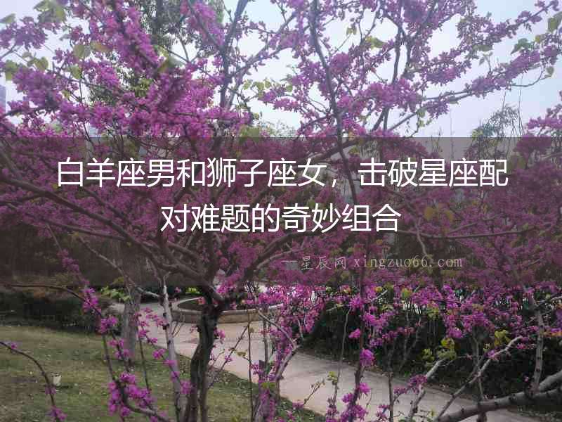 白羊座男和獅子座女，擊破星座配對難題的奇妙組合