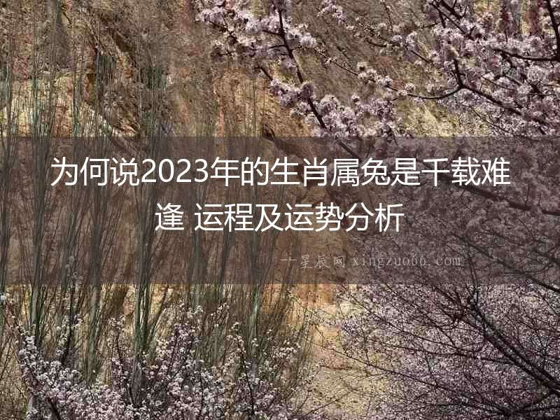 為何說2023年的生肖屬兔是千載難逢 運程及運勢分析