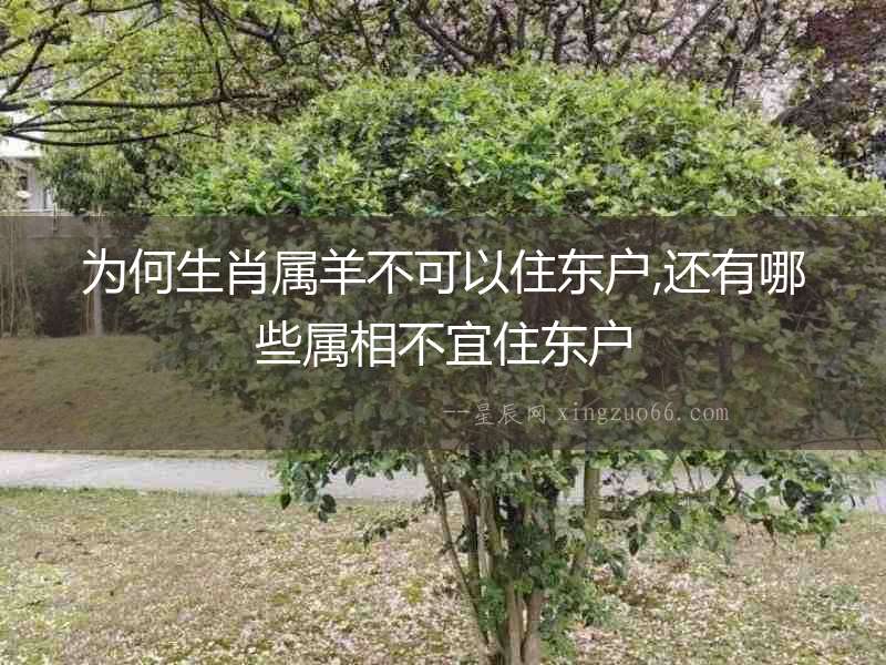 為何生肖屬羊不可以住東戶,還有哪些屬相不宜住東戶