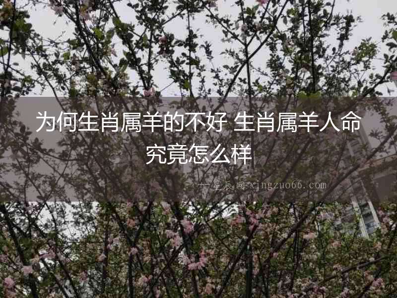 為何生肖屬羊的不好 生肖屬羊人命究竟怎么樣