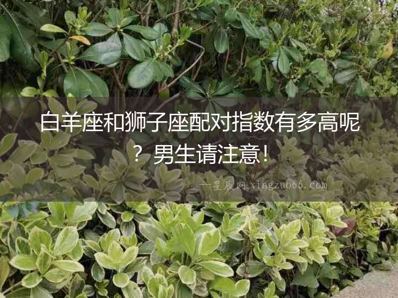 白羊座和獅子座配對指數有多高呢？男生請注意！