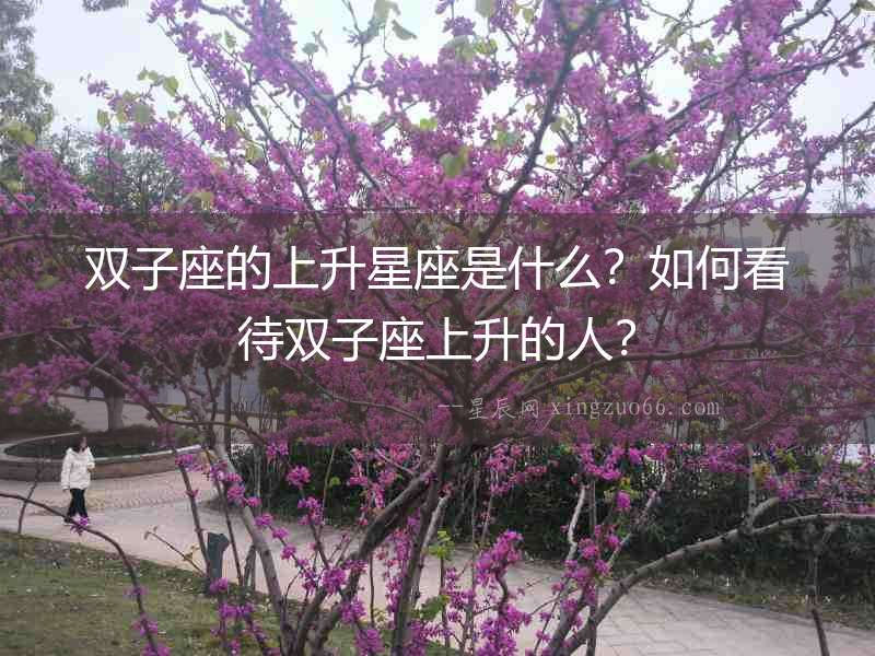 雙子座的上升星座是什么？如何看待雙子座上升的人？