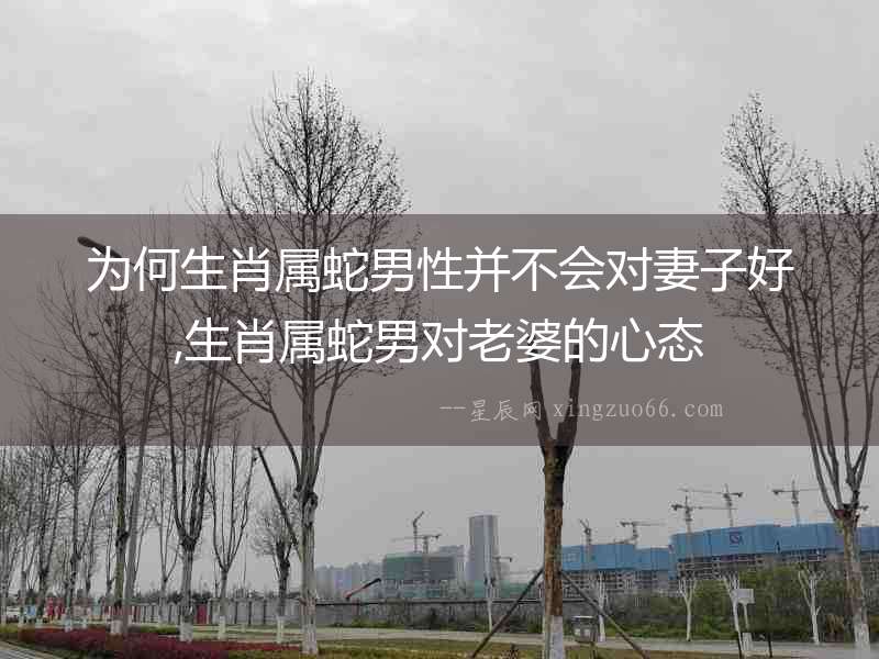 為何生肖屬蛇男性并不會對妻子好,生肖屬蛇男對老婆的心態