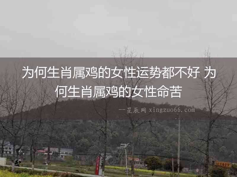 為何生肖屬雞的女性運勢都不好 為何生肖屬雞的女性命苦