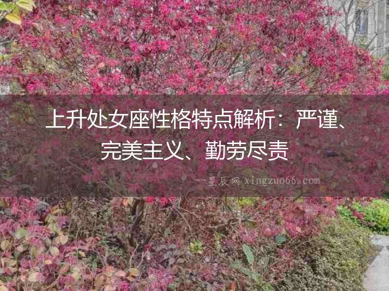 上升處女座性格特點解析：嚴謹、完美主義、勤勞盡責