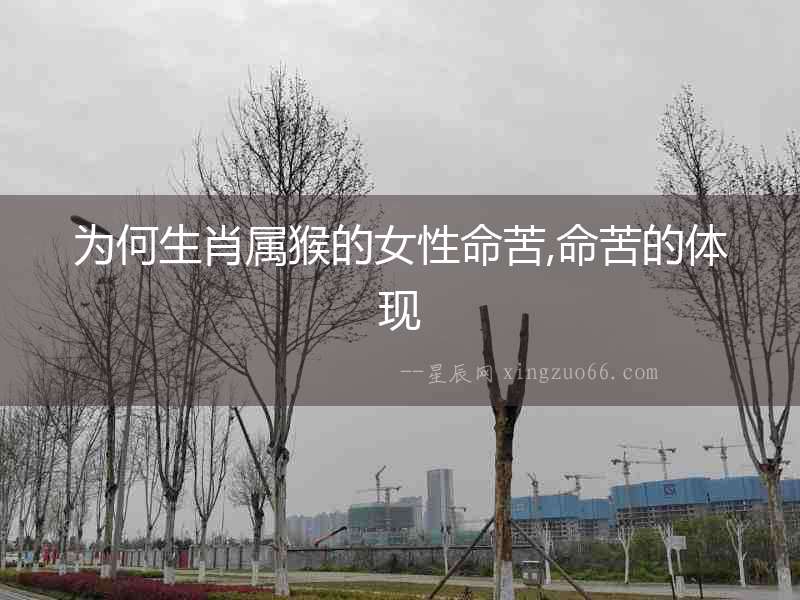 為何生肖屬猴的女性命苦,命苦的體現