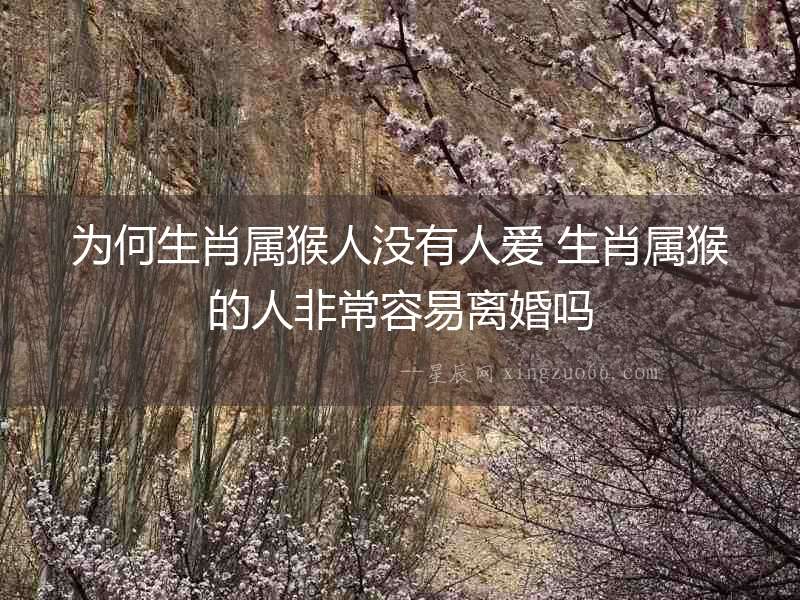 為何生肖屬猴人沒有人愛 生肖屬猴的人非常容易離婚嗎