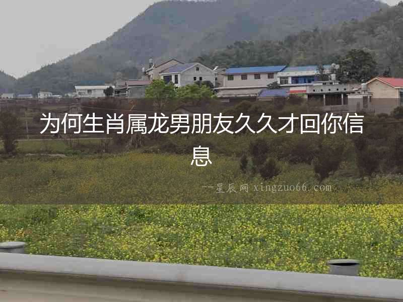 為何生肖屬龍男朋友久久才回你信息