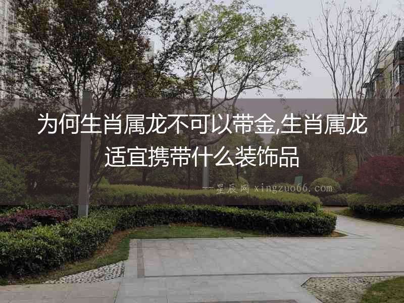 為何生肖屬龍不可以帶金,生肖屬龍適宜攜帶什么裝飾品