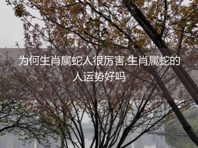 為何生肖屬蛇人很厲害,生肖屬蛇的人運(yùn)勢(shì)好嗎