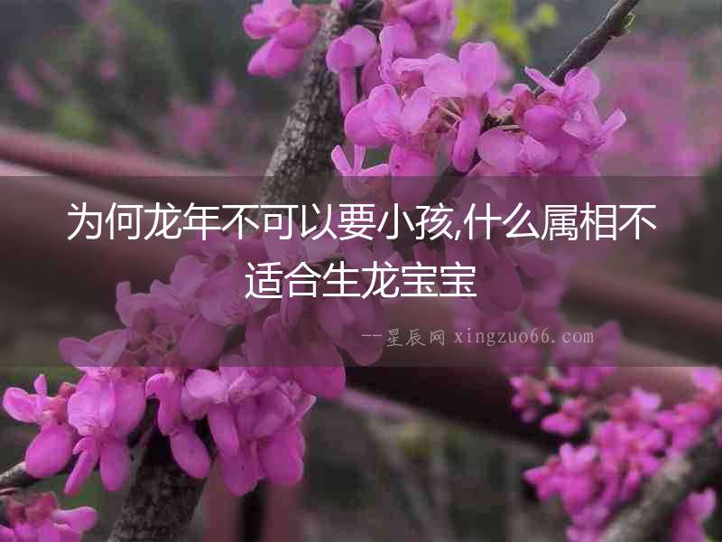 為何龍年不可以要小孩,什么屬相不適合生龍寶寶