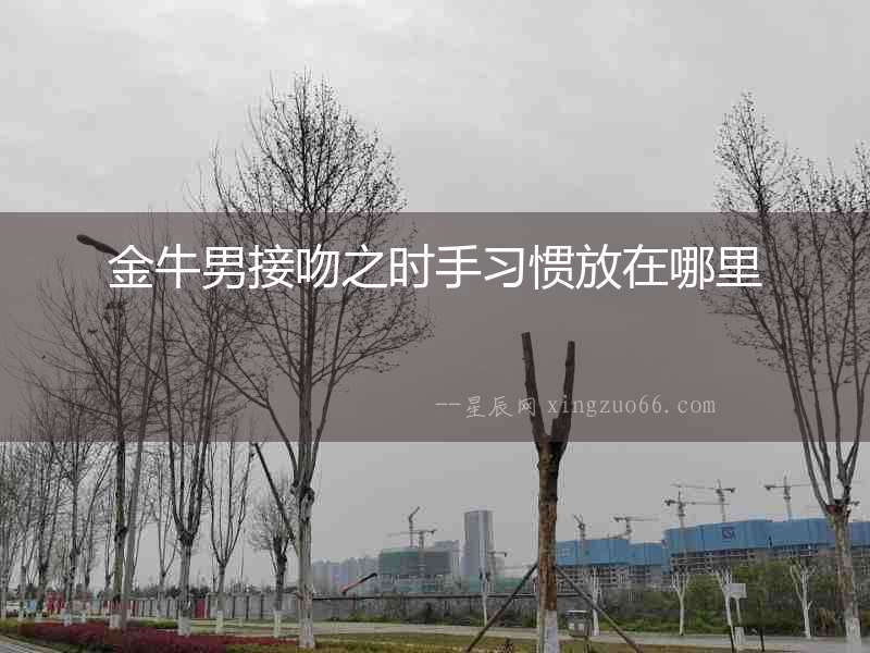 金牛男接吻之時手習慣放在哪里