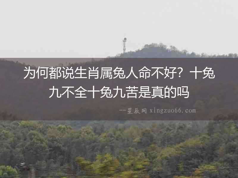 為何都說生肖屬兔人命不好？十兔九不全十兔九苦是真的嗎