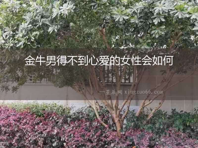 金牛男得不到心愛的女性會如何