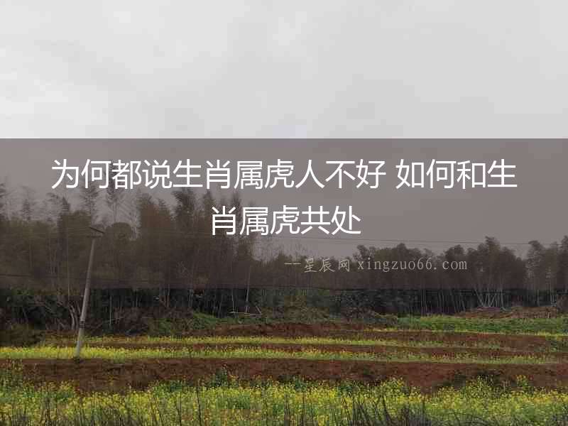 為何都說生肖屬虎人不好 如何和生肖屬虎共處