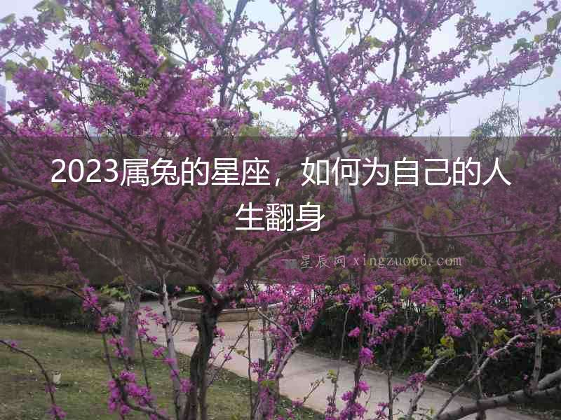 2023屬兔的星座，如何為自己的人生翻身