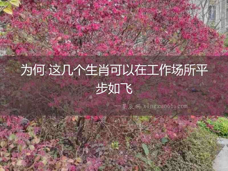 為何 這幾個生肖可以在工作場所平步如飛