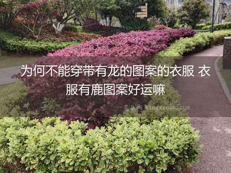 為何不能穿帶有龍的圖案的衣服 衣服有鹿圖案好運嘛