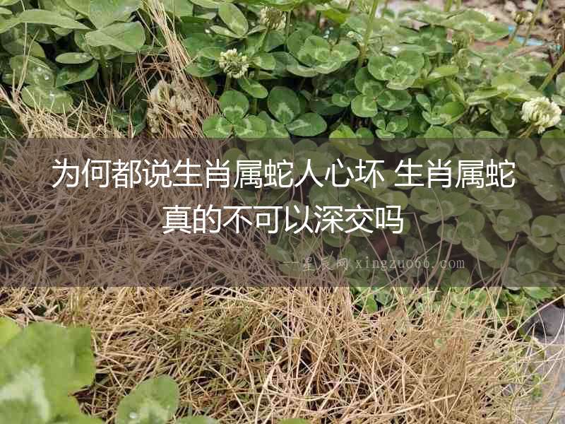 為何都說生肖屬蛇人心壞 生肖屬蛇真的不可以深交嗎