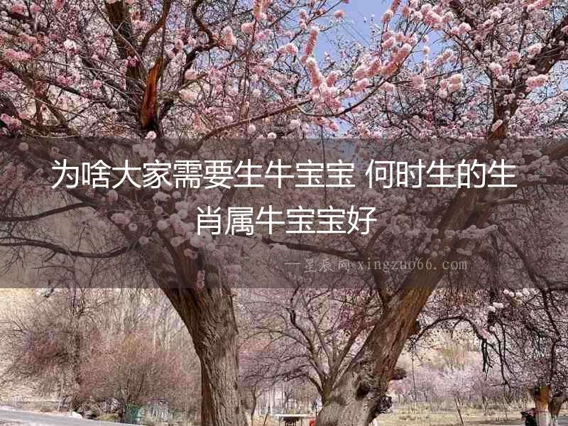 為啥大家需要生牛寶寶 何時生的生肖屬牛寶寶好